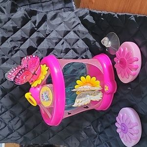 Little live pets Butterfly